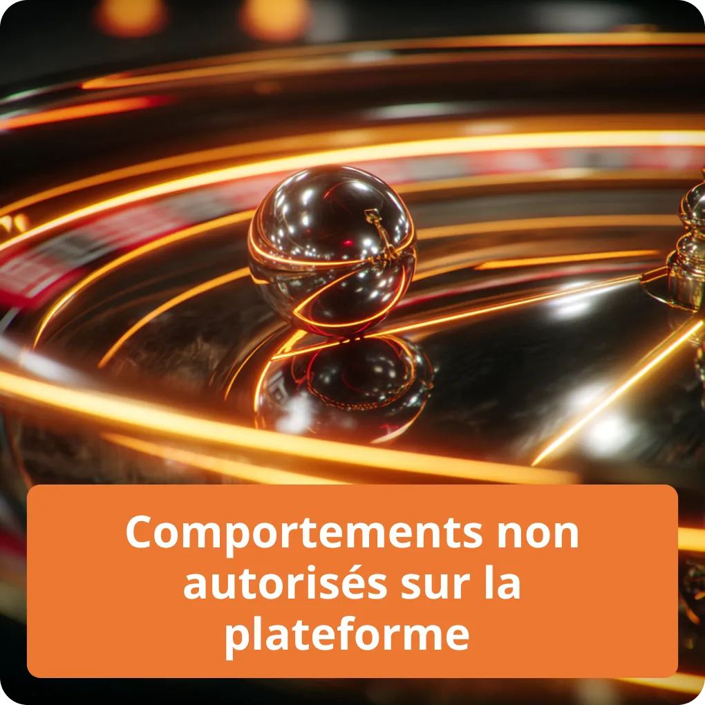 Activités interdites sur le site Comportements non autorisés sur la plateforme